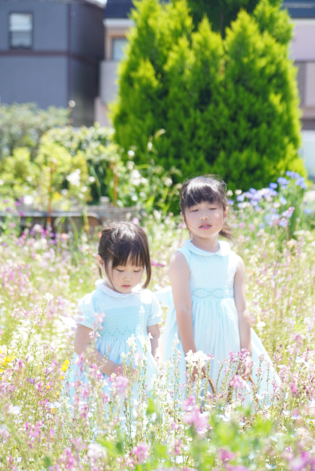 Charlotte sy Dimby classic timeless traditional smocked dresses for babies and girls handmade French style children clothing paris boutique first baby girl photo shoot heirloom dress