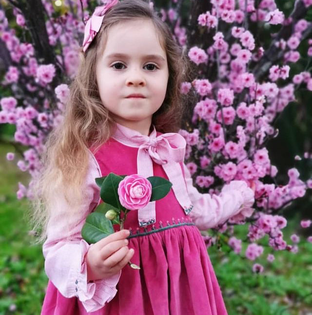 Charlotte sy Dimby classic timeless traditional smocked dresses for babies and girls handmade French style children clothing paris boutique twirling princess dress pink velvet pinafore dress australia